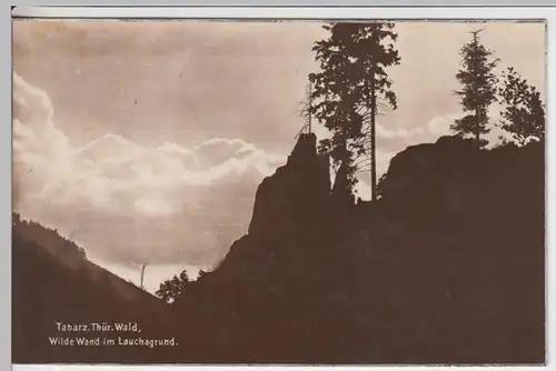 (16593) Foto AK Tabarz, Wilde Wand im Lauchagrund 1925