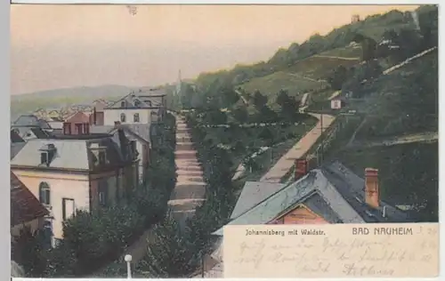 (16564) AK Bad Nauheim, Johannisberg mit Waldstraße 1904