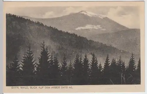 (16562) AK Gr. Arber (Bayr. Wald), vor 1945