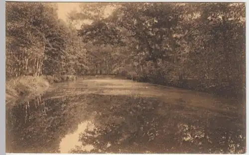 (16492) AK Burg b. Magdeburg, Teich beim Forsthaus 1909