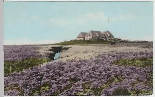 (16367) AK Hallig mit Bondestabe, Meerstrandswermut, vor 1945