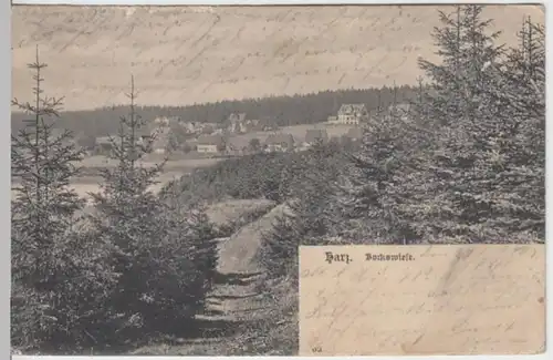 (16355) AK Bockswiese, Goslar 1903