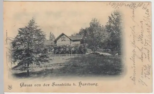 (16310) AK Gruß aus Bad Harzburg, Waldgasthaus, Sennhütte 1901
