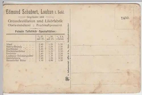 (16238) AK Bad Warmbrunn (Riesengeb.), Füllnerpark, vor 1945