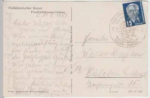 (16083) AK Friedrichsbrunn, Harz, Panorama 1953