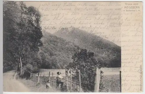 (15996) AK Gruß vom Meiseberg, Selketal 1905