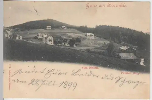 (15959) AK Gruß aus Bärenfels, Altenberg, Erz., Panorama 1899