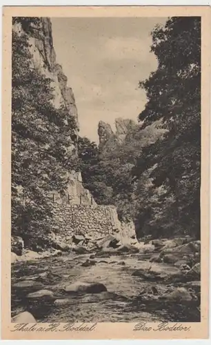 (15876) AK Bodetal, Harz, Bodetor, vor 1945