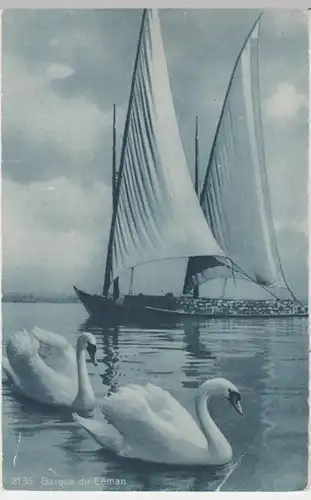 (15813) AK Genfersee, Lac Leman, Segelboot, vor 1945