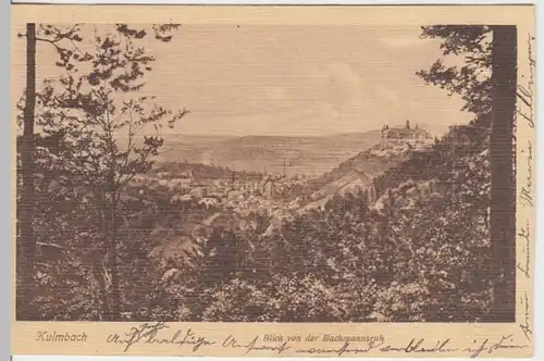 (15746) AK Kulmbach, Panorama 1910