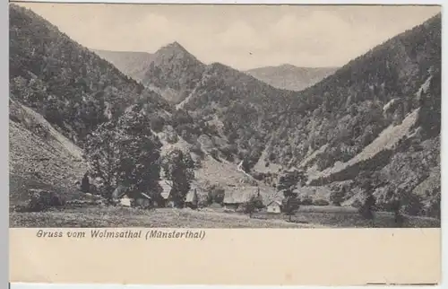 (15728) AK Gruß vom Wolmsatal, Münstertal, Elsass, bis 1905