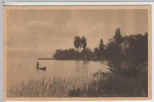 (15556) AK Untersee, Bodensee, Ufer bei Horn, Gaienhofen 1921