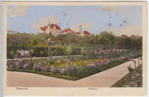 (15449) AK Chemnitz, Rosarium 1911