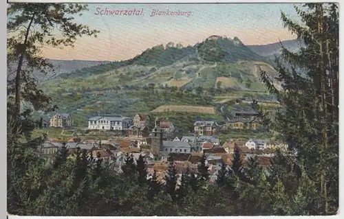 (15444) AK Bad Blankenburg, Schwarzatal, Panorama 1912