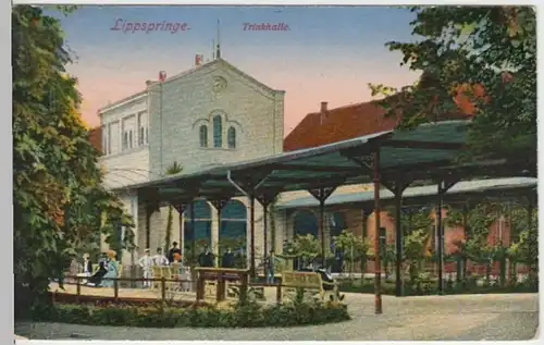 (15361) AK Bad Lippspringe, Trinkhalle 1920