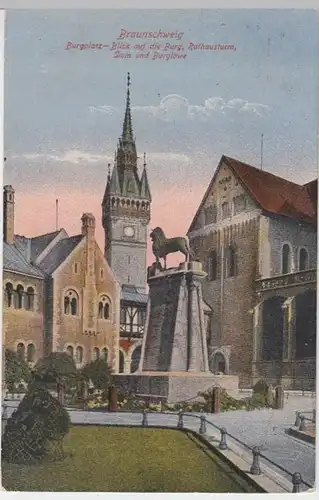 (14809) AK Braunschweig, Burg, Rathausturm, Dom, Burglöwe 1925