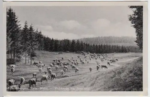 (14633) AK Finsterbergen, Kuhherde am Steinbühl 1955