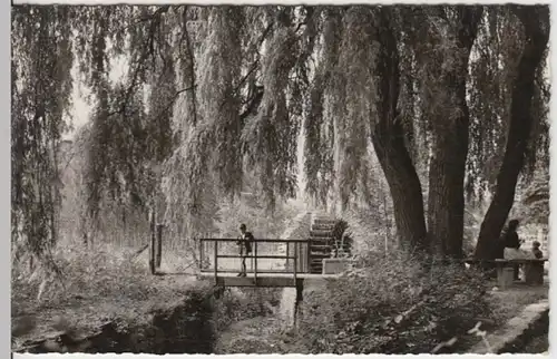 (14522) AK Ahrweiler, Mühlrad 1967