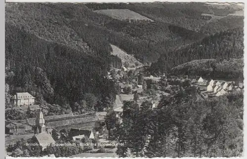 (14068) AK Brilon-Wald, Panorama, Hoppecketal 1957
