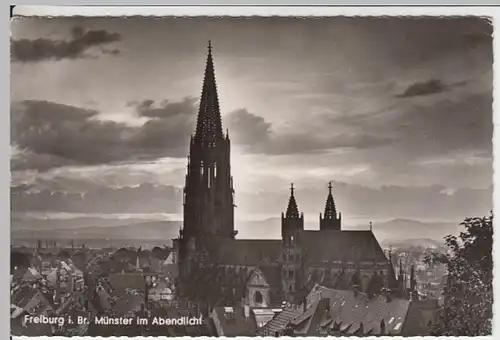 (14061) Foto AK Freiburg im Breisgau, Münster 1968