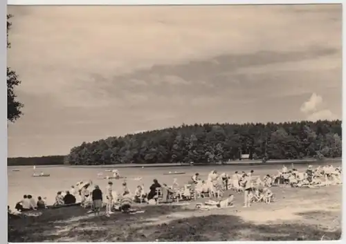 (13993) Foto AK Neuglobsow, Stechlinsee 1965