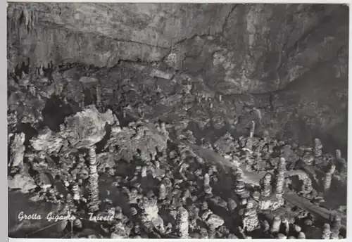 (13990) Foto AK Trieste, Triest, Grotta Gigante, nach 1945