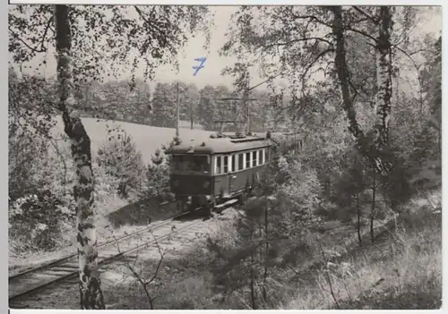 (13983) Foto AK Buckow, Märk. Schweiz, Waldbahn 1979