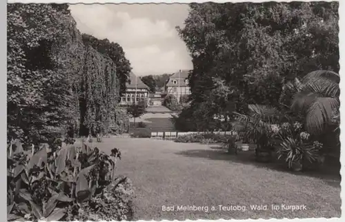 (13908) Foto AK Bad Meinberg, Kurpark 1955