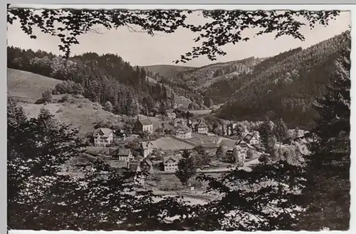 (13899) Foto AK Schönmünzach, Panorama 1959