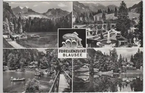 (13891) Foto AK Kandergrund, Blausee, Mehrbildkarte 1967