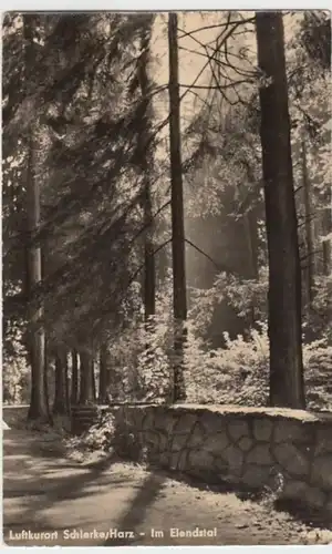 (13879) Foto AK Schierke, Elendstal 1957