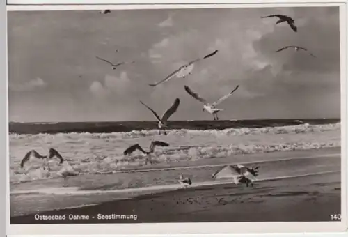 (13868) Foto AK Dahme, Hohlstein, am Meer