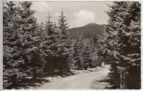 (13736) Foto AK Achtermannshöhe, Harz, nach 1945