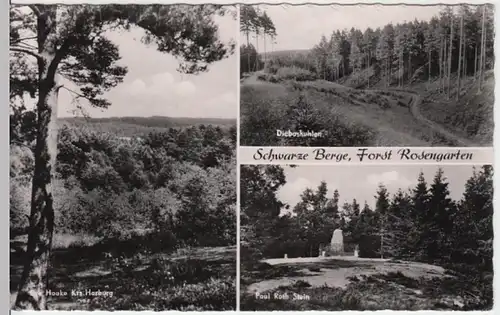 (13701) Foto AK Schwarze Berge, Rosengarten, Mehrbild 1954-64