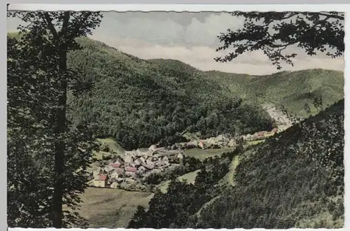 (13699) AK Sieber, Harz, Panorama 1963