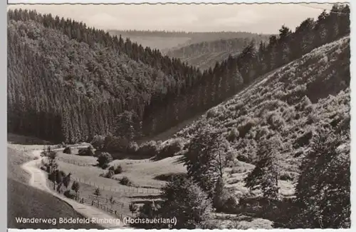 (13686) Foto AK Wanderweg Bödefeld-Rimberg 1958