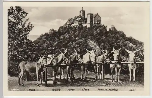 (13610) Foto AK Eisenach, Th., Wartburg, Eselstandplatz 1955