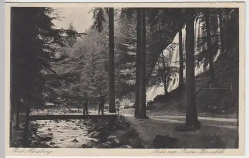 (13529) AK Bad Harzburg, Radau Wasserfall 1934