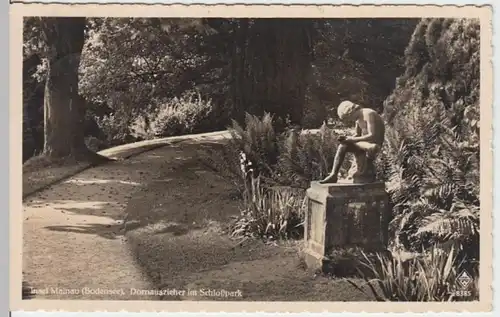 (13514) Foto AK Konstanz, Insel Mainau, Dornauszieher 1938