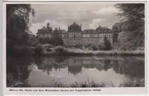 (13510) Foto AK Bonn, Poppelsdorfer Schloss, Botanischer Garten 1941