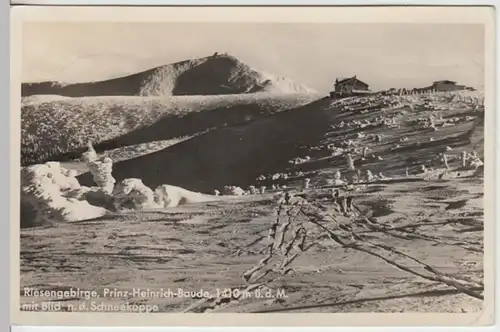 (13509) Foto AK Riesengebirge, Prinz Heinrich Baude, Schneekoppe 1942