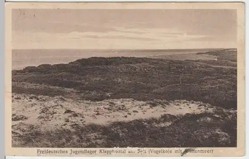(13496) AK Klappholttal, Sylt, Freideutsches Jugendlager, Vogelkoje 1924