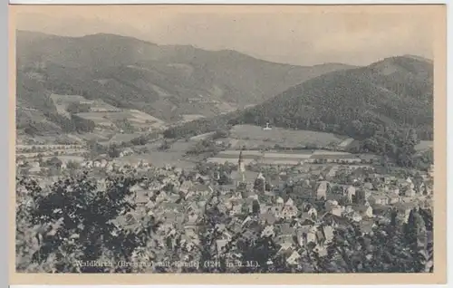 (13487) AK Waldkirch, Breisgau, Panorama, Kandel, vor 1945