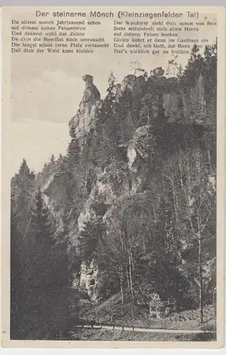 (13385) AK Kleinziegenfelder Tal, Steinerner Mönch 1934