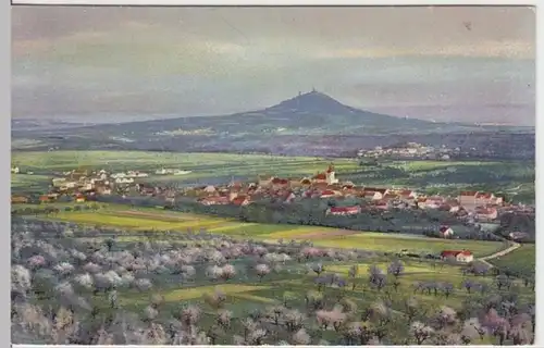 (13378) AK Trebnitz, Böhmen, Panorama, Haselburg, vor 1945