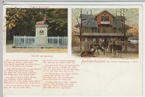 (13340) AK Treseburg, Thale, Dambachhaus, Pfeil-Denkmal, vor 1945
