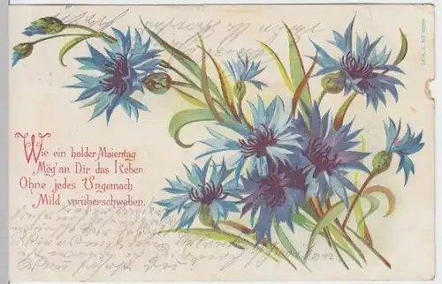 (13242) AK Sprüche, Wie ein holder Maientag 1905