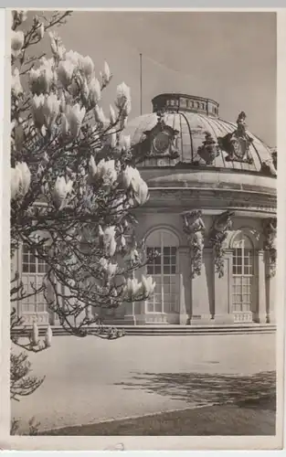 (9079) Foto AK Potsdam, Sanssouci, gelaufen 1951
