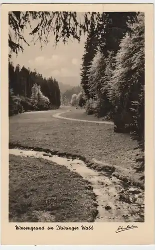 (8993) Foto AK Thüringer Wald, Wiesengrund 1958