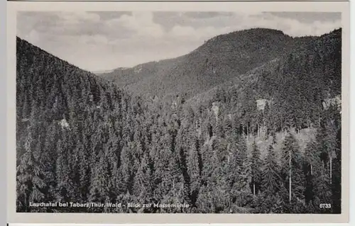 (8987) AK Tabarz, Th. Wald, Lauchatal, Blick zur Massemühle 1953